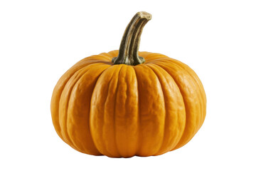 A vibrant orange pumpkin with a thick stem isolated on transparent background