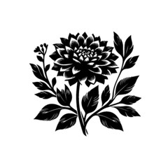 Beautiful Blooming Flower Vector Illustration