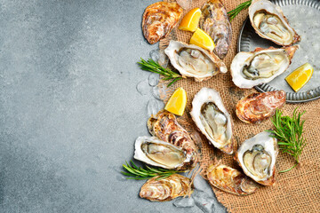 fresh raw oysters with ice. Healthy sea food. on gray textured stone background. Free space for text.