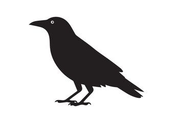 Obraz premium Crow silhouette vector illustration