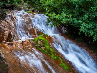 Obraz premium 斜里岳登山道の沢