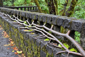 Stone wall with branches, mossy and wet