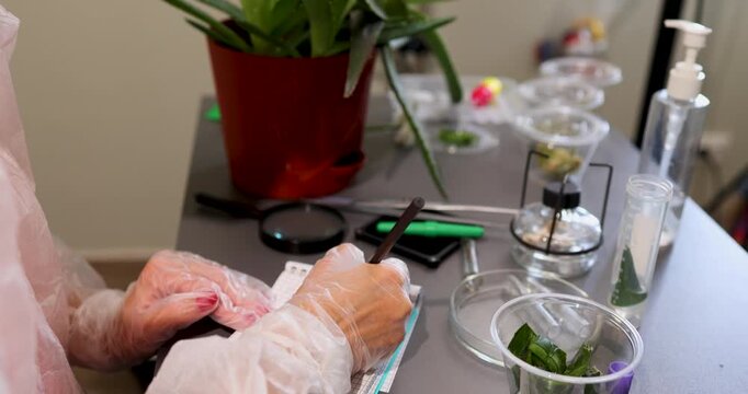 In a laboratory, a researcher in gloves closely examines plant leaves while documenting findings.
