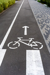 Bicycle lane with directional arrows and bicycle symbol on an asphalt surface
