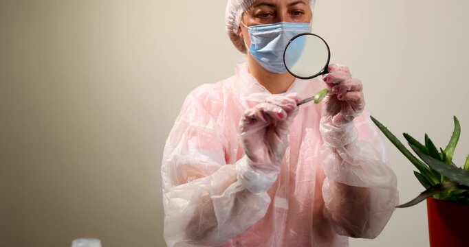 A researcher examines a plant specimen under a magnifying glass while dressed in protective laboratory gear. The focus is on understanding the plant's properties for potential pharmaceutical uses.