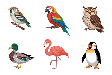 Tropical bird icons, macaw toucan cockatoo, vibrant exotic avian vector, nature inspired clipart, jungle theme