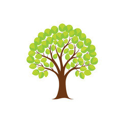 Fototapeta premium vector tree with green leaves