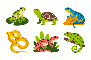 Pond amphibian and reptile icon set, frog turtle salamander snake, lily pad rock vector, playful nature characters, childrens educational clipart