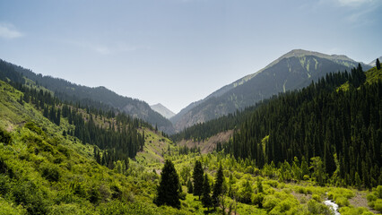 a beautiful mountain gorge. summer in the mountains