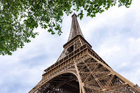 View of the Eiffel Tower's latticed iron soaring through the sky, framed by vibrant green leaves against a soft, cloud-streaked backdrop, Paris, &Atilde;Žle-de-France, France.