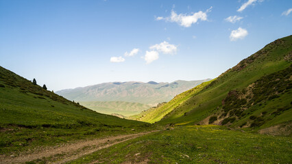 Obraz premium a beautiful mountain gorge. summer in the mountains