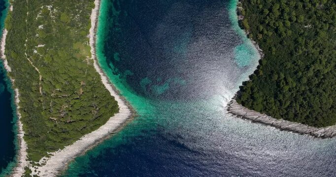 Aerial top-down view of Mljet island&rsquo;s coast showcasing clear blue waters and lush green forests.