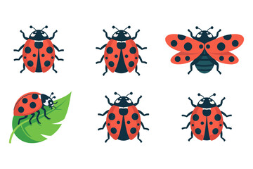 Fototapeta premium Ladybug insect icon set, red black spotted beetle on leaf, garden pollinator vector illustration, spring greeting design, childrens nature emblem