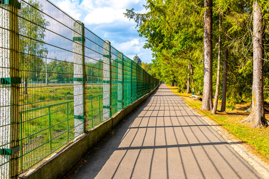 Path in the zoo forest by the enclosure fence Belarus.
