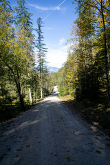 Fototapeta premium A road with trees in the background