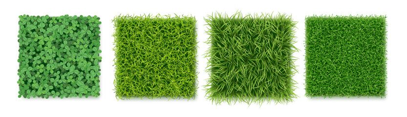 Top view grass texture with fresh green blades. Vector landscape design or gaming environments. Field or meadow, lawn or pasture. Greenery collection, wild nature and garden grassy vegetation variety
