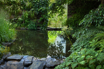 The cool spot in the park