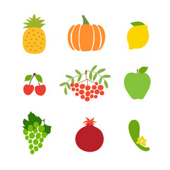 Fruit Vegetable Vector Design Collection