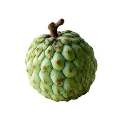 Obraz premium Single cherimoya (Custard apple) fruit isolated on transparent background.