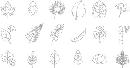 set of vector leaves