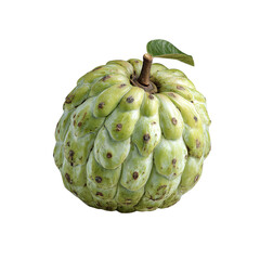 Fototapeta premium Single cherimoya (Custard apple) fruit isolated on transparent background.