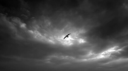 Obraz premium Bird soaring through dark clouds