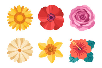Blossom head set, marigold rose hibiscus daisy narcissus, botanical vector, floral icon pack