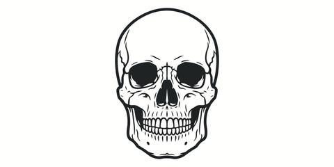 Human Skull Vector Illustration Grim Anatomy Death Concept Graphic Design White Background