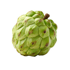 Obraz premium Single cherimoya (Custard apple) fruit isolated on transparent background.