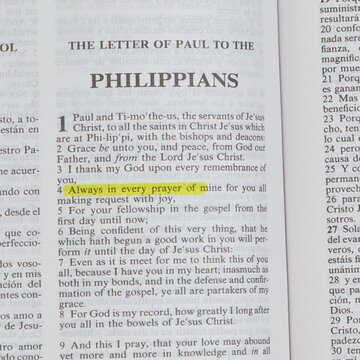 Highlight Text Animation &ndash; Marker Underline Motion Effect Square