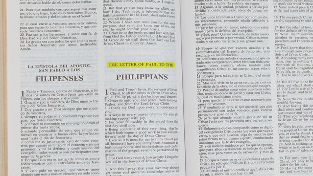 Highlight Text Animation &ndash; Marker Underline Motion Effect Wide