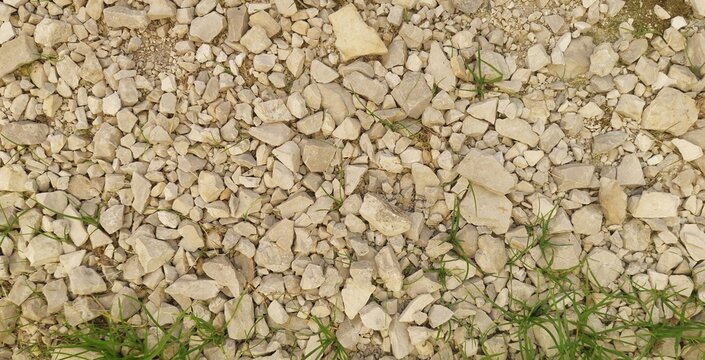 green grass gravel background - Powered by Adobe