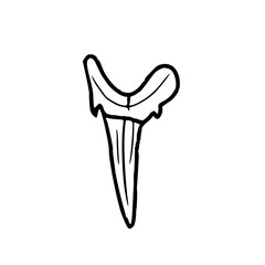 shark tooth fossil outline drawing