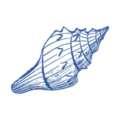 Spiral sea shell textured hand drawn vector art. Mediterranean blue ink line bivalve mollusk. Icon contour symbol for summer, home decor, vacation print, stickers, tag, logo