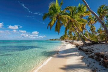 Tropical beach paradise (1)
