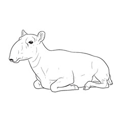 Natural Saiga Line Art – Saiga Vector Outline Drawing with Unique Wildlife Silhouette – Saiga Drawing – Vector of Saiga – Saiga Outline

