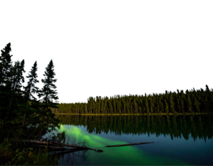 Northern Lights Over Enchanted Pine Forest with Crystal-Clear Lake Reflection, isolated on transparent background