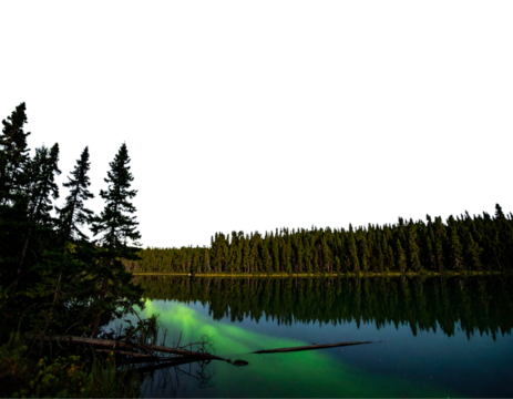 Northern Lights Over Enchanted Pine Forest with Crystal-Clear Lake Reflection, isolated on transparent background