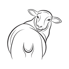Refined Sheep Line Art – Sheep Vector Illustration Smooth Drawing with Elegant Curves – Sheep Drawing – Line Art Drawing of Sheep – Sheep Icon

