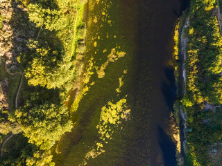 Aerial top down of nature meadow during summer in Yakima Valley Kennewick Richland Washington