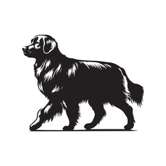 Golden retriever Vector - Minimalist Golden Retriever Silhouette - Illustration of Golden Retriever.