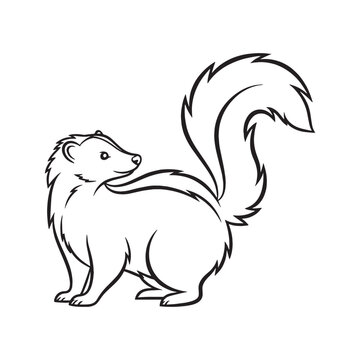 Minimal Skunk Line Art &ndash; Skunk Vector Outline Drawing with Smooth Curves &ndash; Skunk Drawing &ndash; Vector of Skunk &ndash; Skunk Outline

