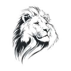 Fototapeta premium Majestic lion head sketch with detailed mane design for artwork