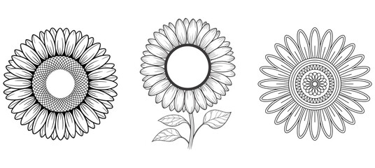 Three Black and White Line Art Illustrations of Sunflowers vector illustration