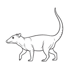 Detailed Solenodon Line Art – Solenodon Vector Outline Drawing with Fine Wildlife Definition – Solenodon Drawing – Vector of Solenodon – Solenodon Outline

