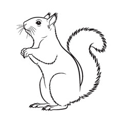 Minimal Squirrel Line Art – Squirrel Vector Illustration Clean Drawing with Simplified Curves – Squirrel Drawing – Line Art Drawing of Squirrel – Squirrel Icon

