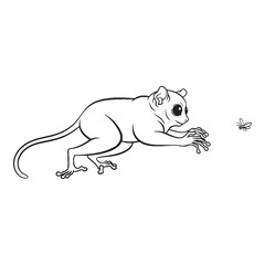 Stylish Tarsier Line Art – Tarsier Vector Illustration Artistic Drawing with Fine Details – Tarsier Drawing – Line Art Drawing of Tarsier – Tarsier Icon

