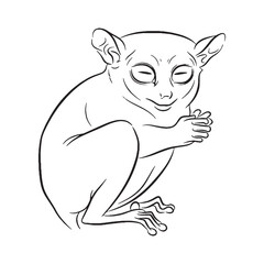 Clean Tarsier Line Art – Tarsier Vector Illustration Balanced Drawing with Unique Features – Tarsier Drawing – Line Art Drawing of Tarsier – Tarsier Icon

