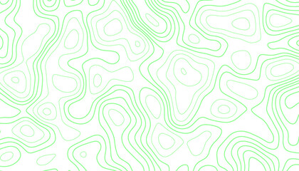 Abstract Green Topographic Contour Lines on White Background