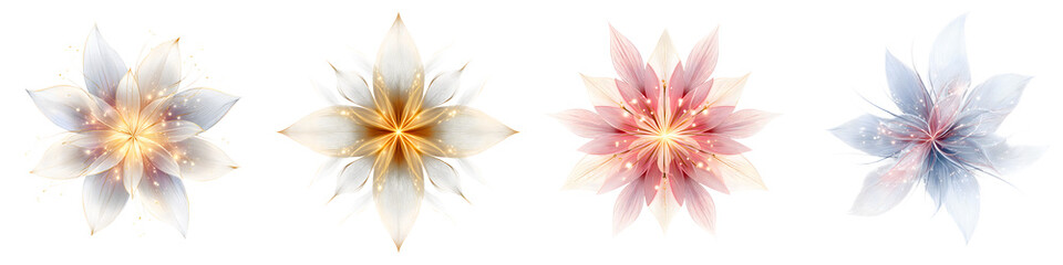 Fototapeta premium Elegant Flower Designs on White Background: Floral Art